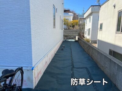 image5_2.jpeg