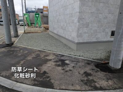 image1_2.jpeg