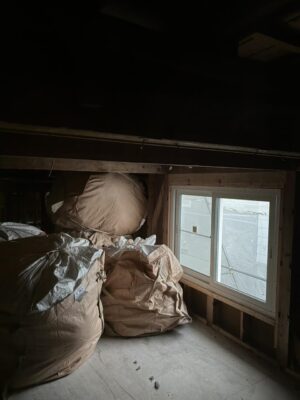 image7.jpeg
