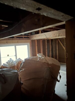 image8.jpeg